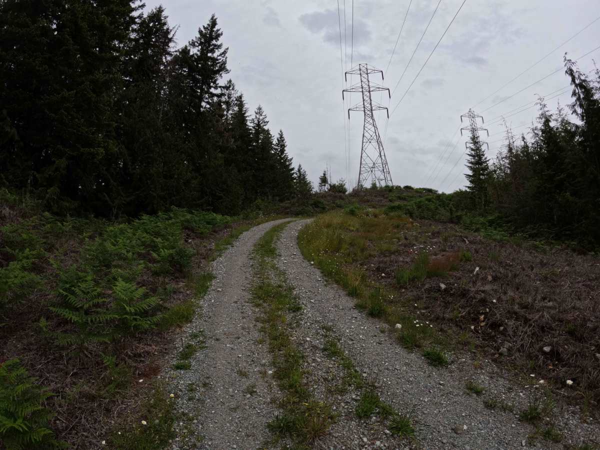 Illabot Powerline Road trail photo