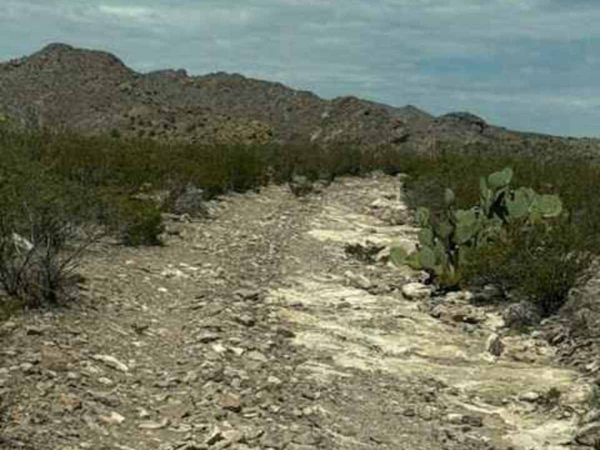 BLM SS1045 photo 2