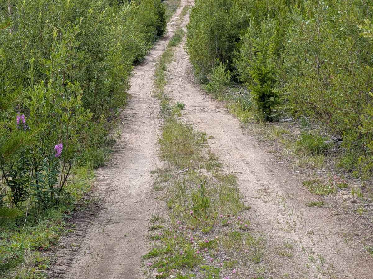 De Pue Creek Road photo 5