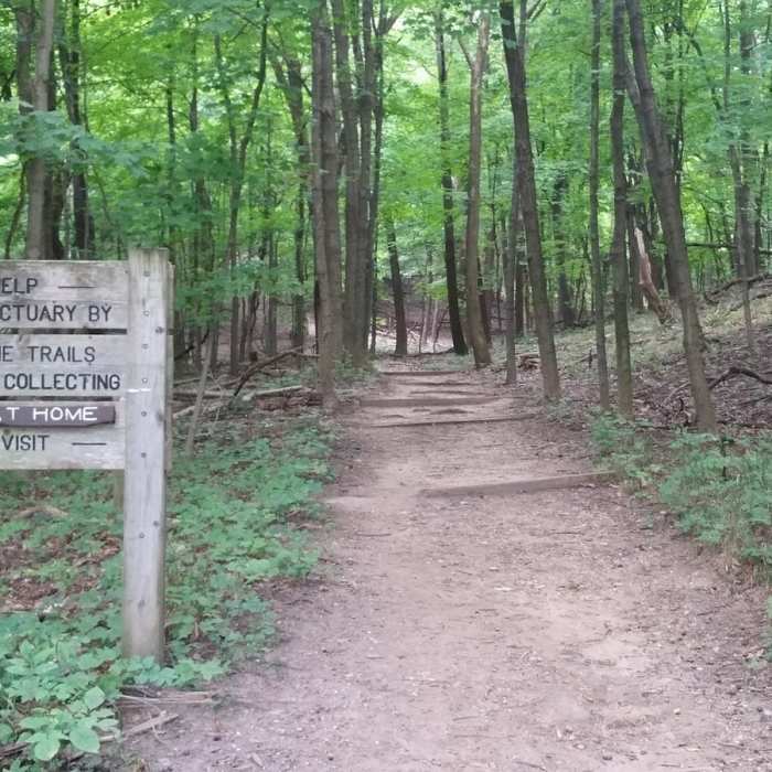 Near Pimiteoui Trail