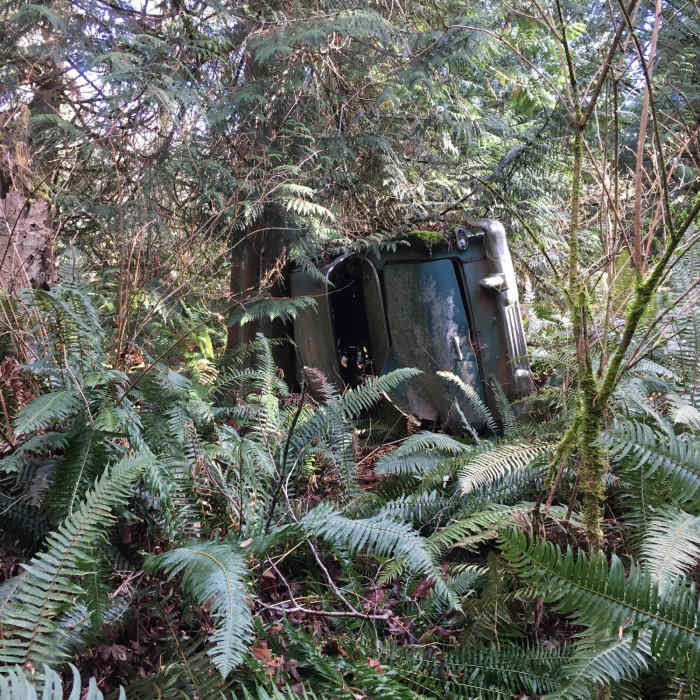 The old wrecked car off of Bluff Trail Near Bluff Trail
