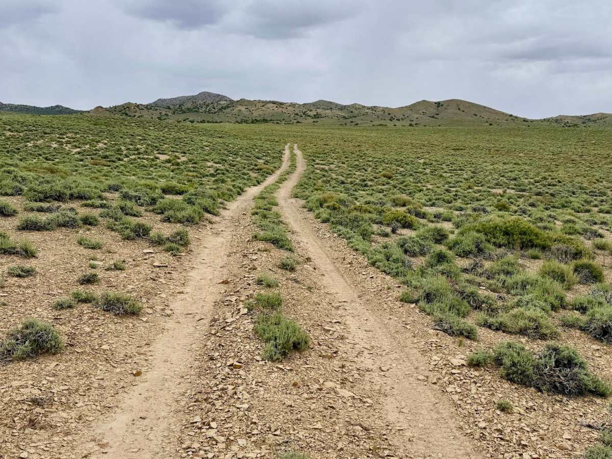 Cedar Corral - FS 44491 trail photo