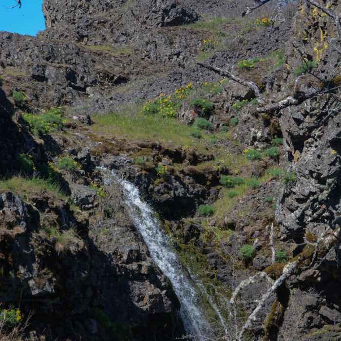 Labyrinth Creek Falls is small but pleasant when it's flowing. Near Hidden Canyon Trail