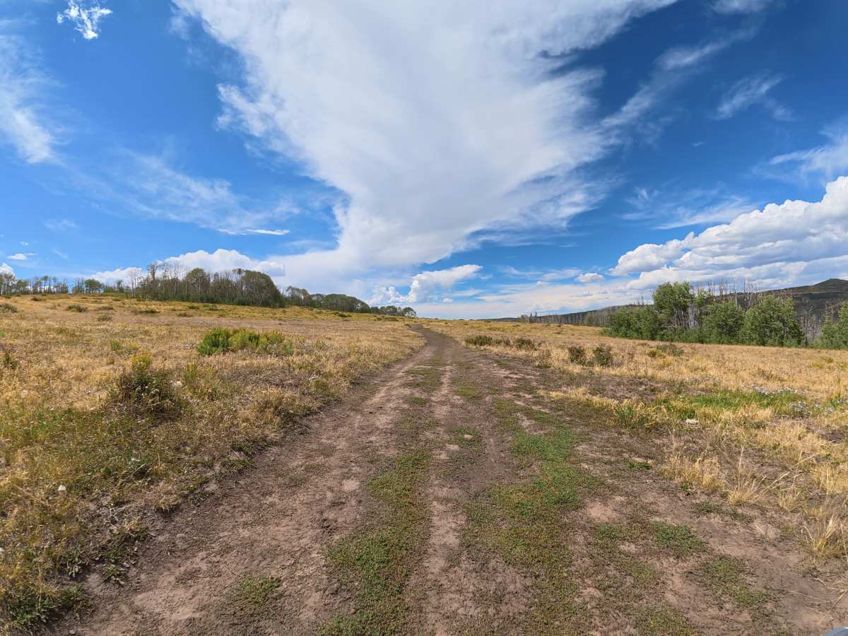 Johnson Basin Road photo 3