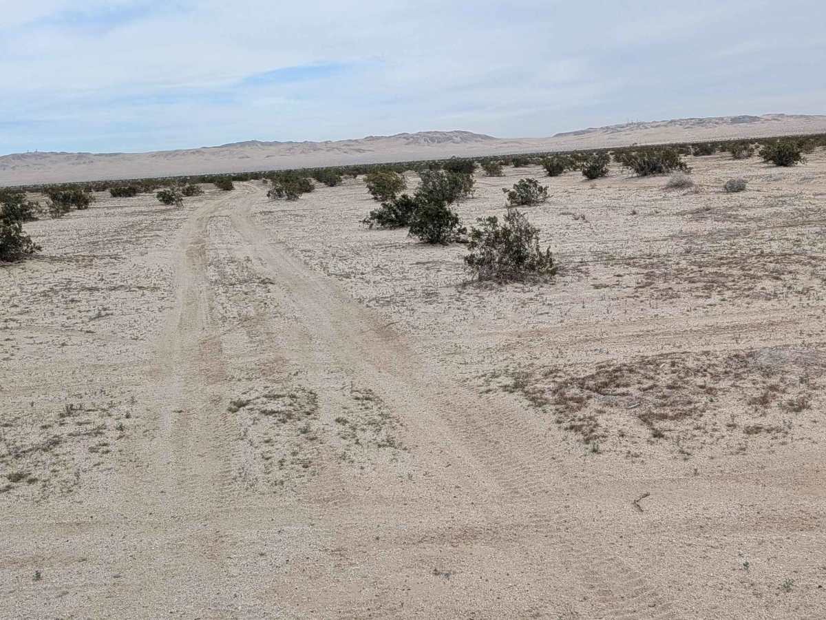 BLM 345 photo 2