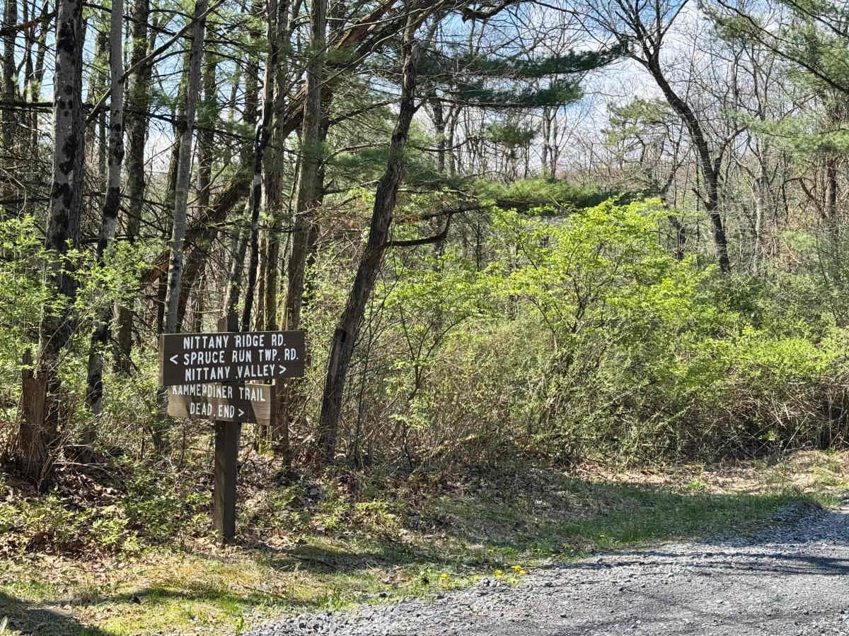 Nittany Ridge Road photo 6