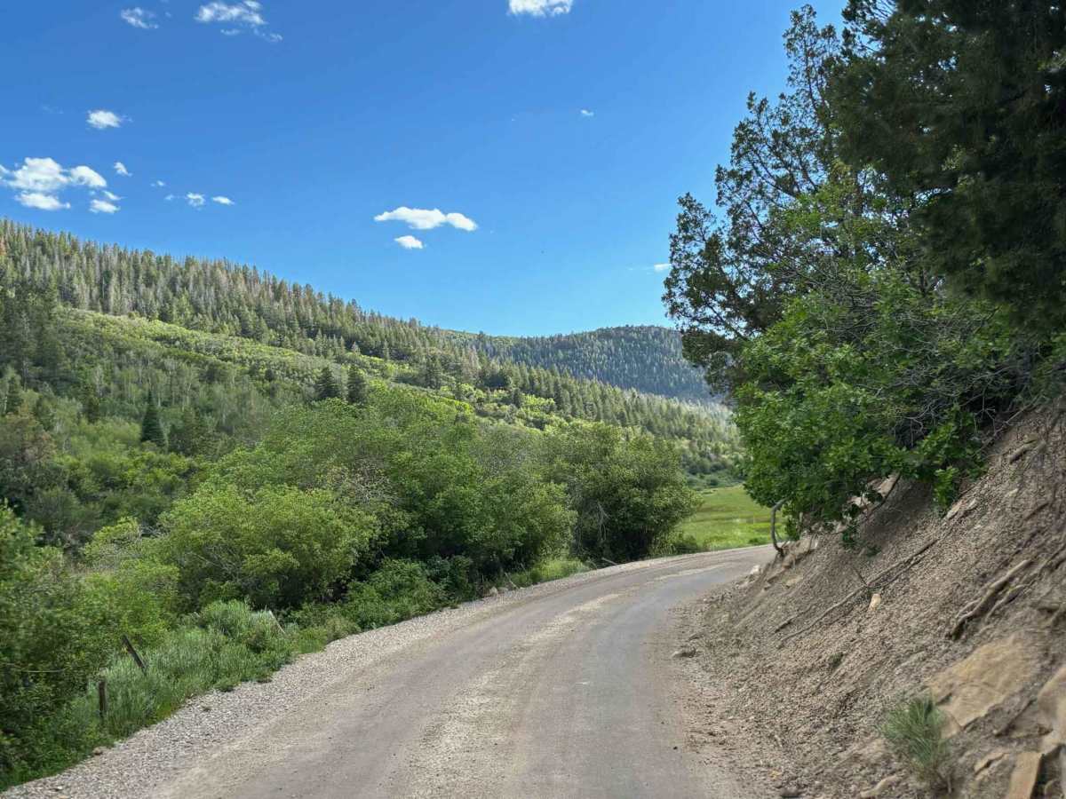 Piceance Creek Road photo 3