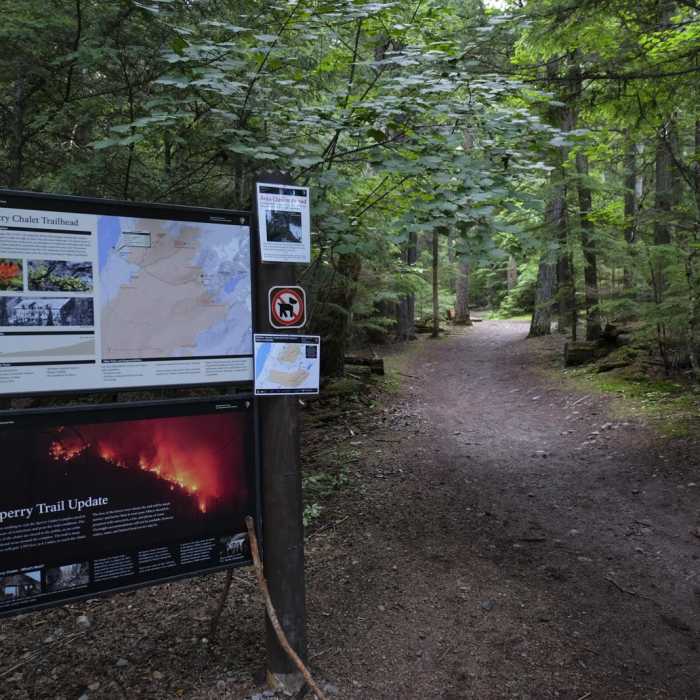 Near Mount Brown Lookout