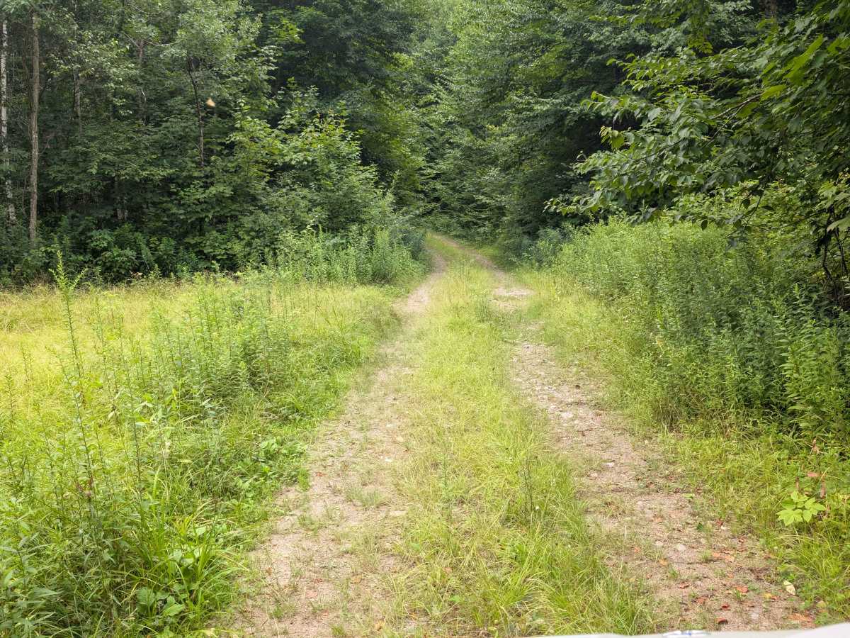Goldmine Trail photo 2