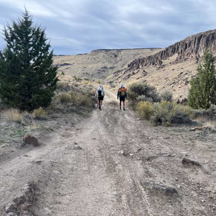 Near Peacock Lake Road to Three Forks Dome Near Peacock Lake Road to Three Forks Dome