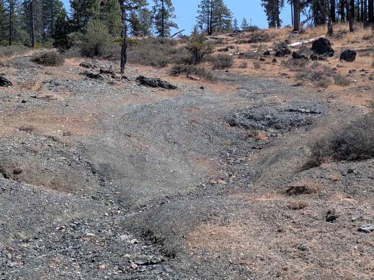 Seven Up Cedars Road - FS 29N59 trail photo