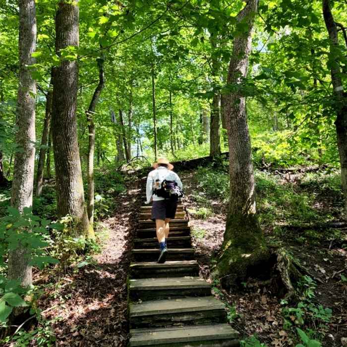 Near Chimney Rock Trail