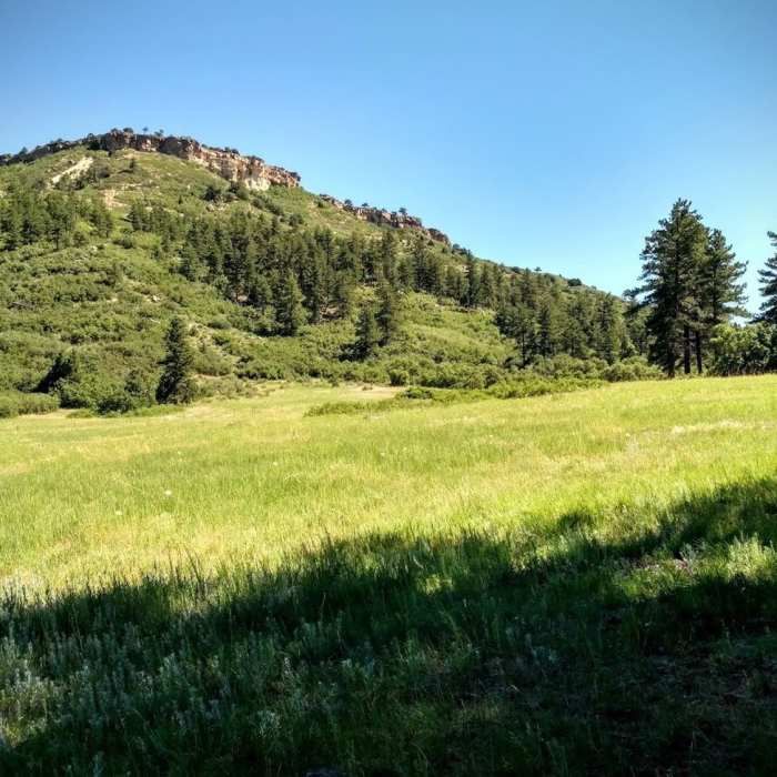 Near Dawson Butte Open Space Trail