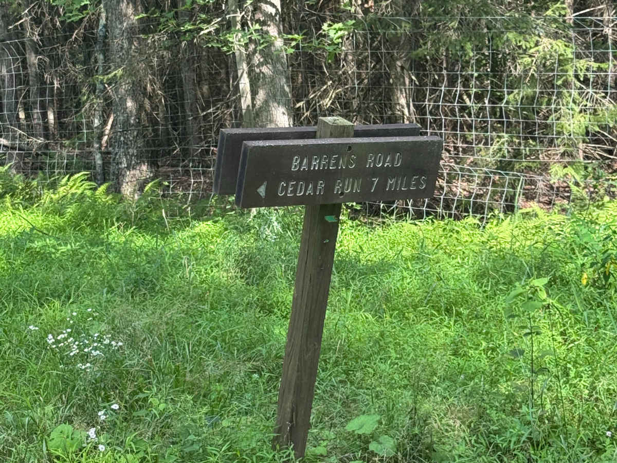 Barrons Road photo 4