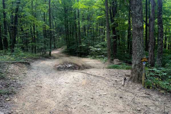 Gibson Knob Trail 15