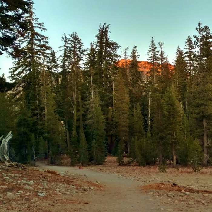 Near Cold Boiling Lake Trail