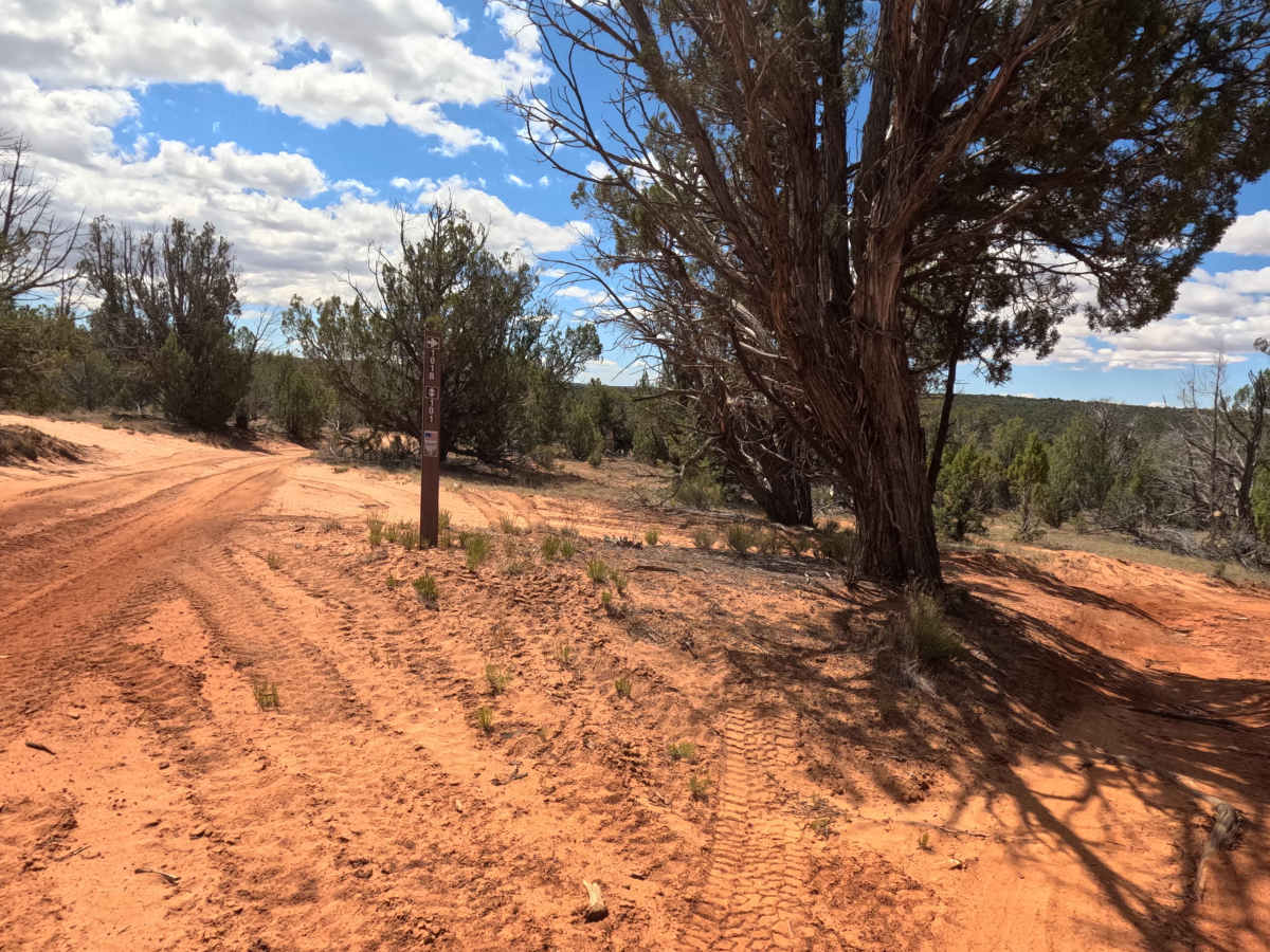 BLM 101B photo 2