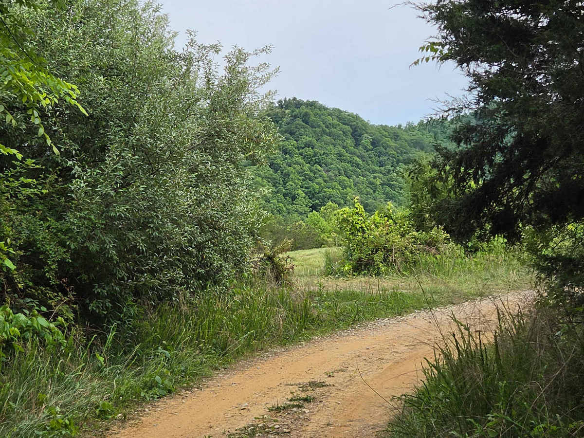 Jim Callahan Road trail photo