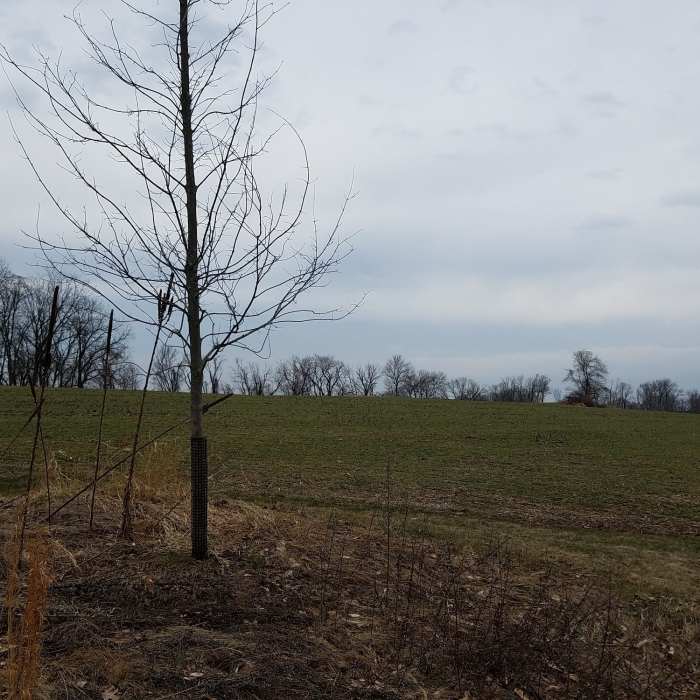Near North Pointe Park