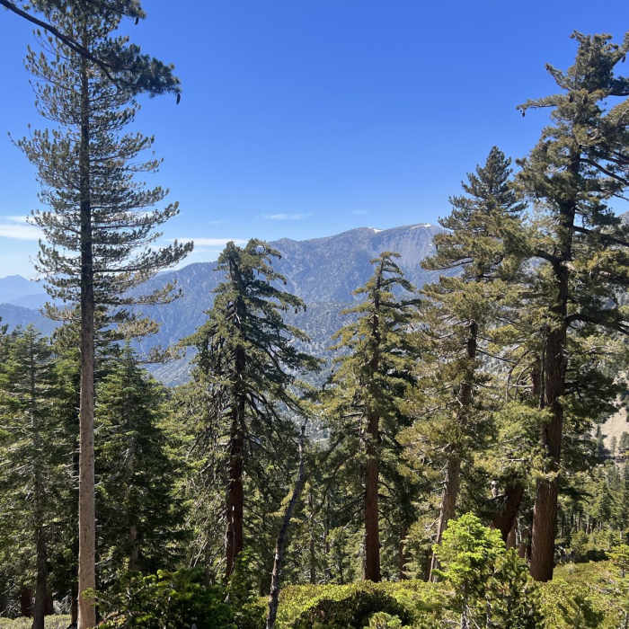 Near Top of the Notch to Cucamonga