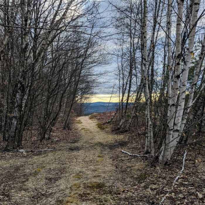 Near Leyden Blueberry Fields
