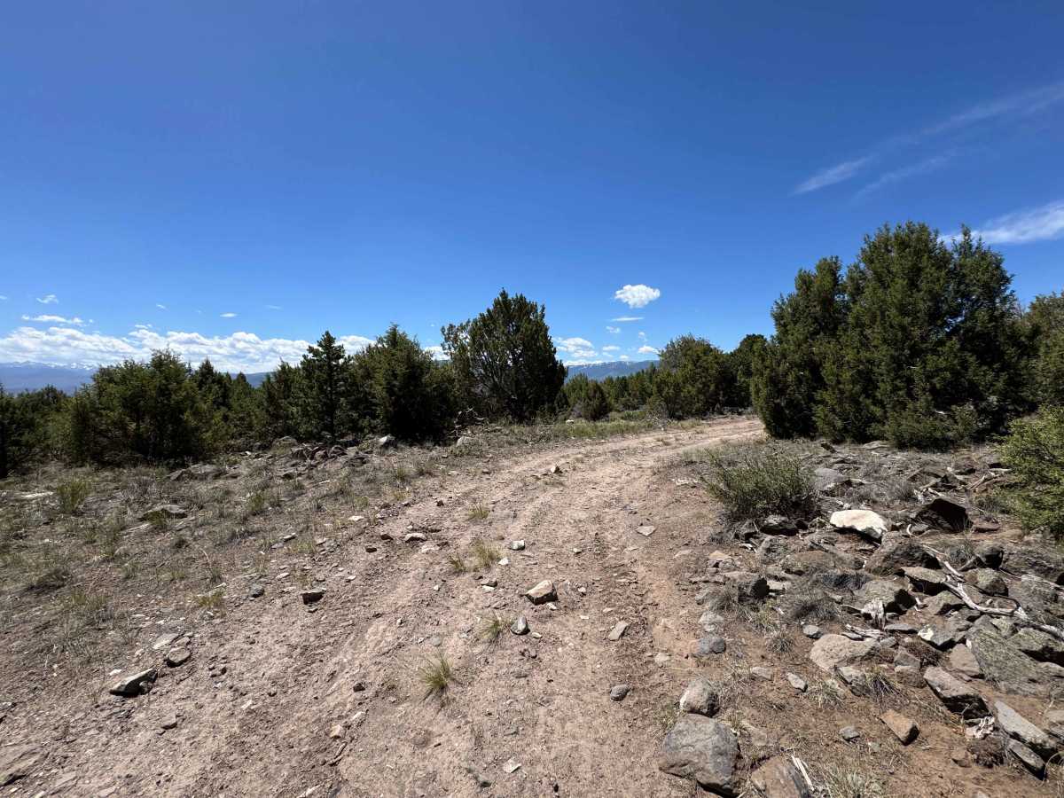 BLM 8473A photo 5