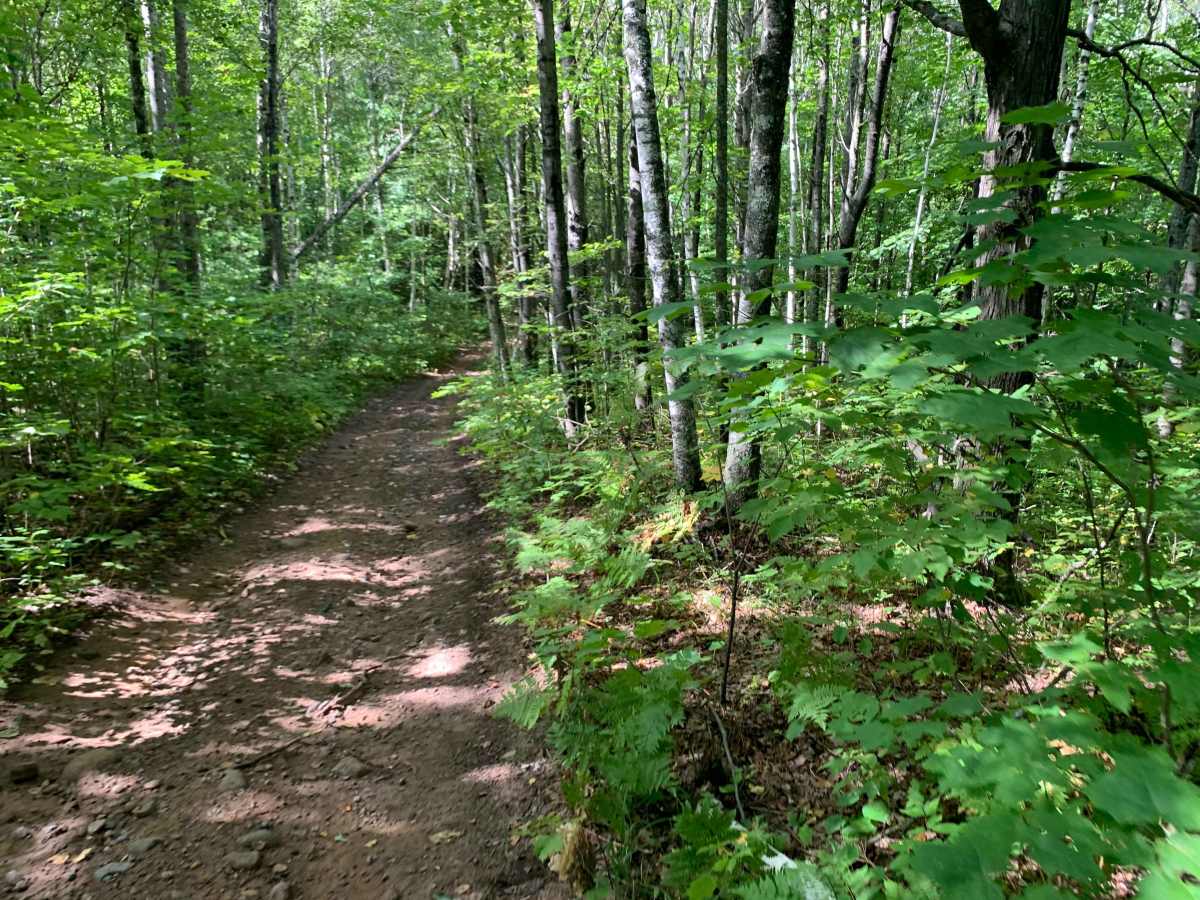 Berthiaume Trail photo 2