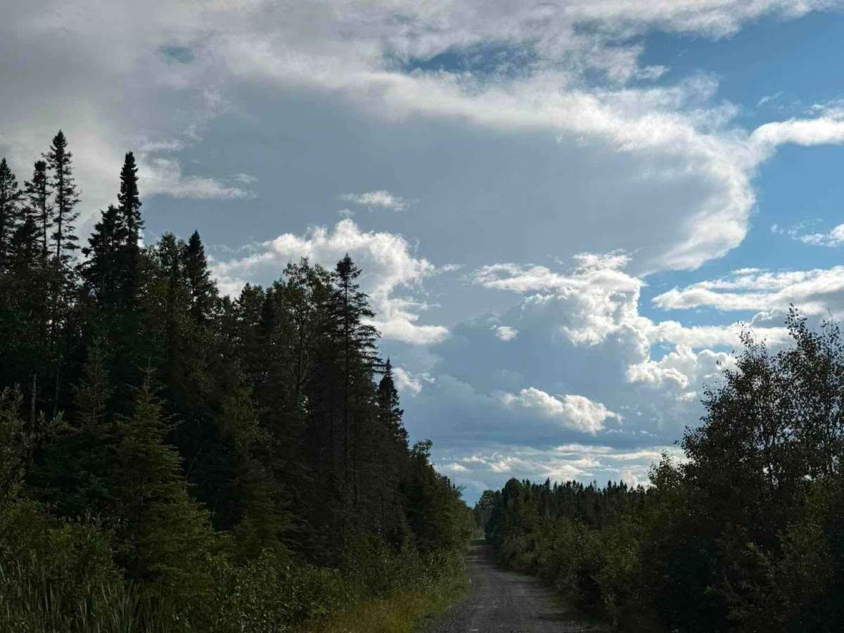Chemin Rexfor photo 6