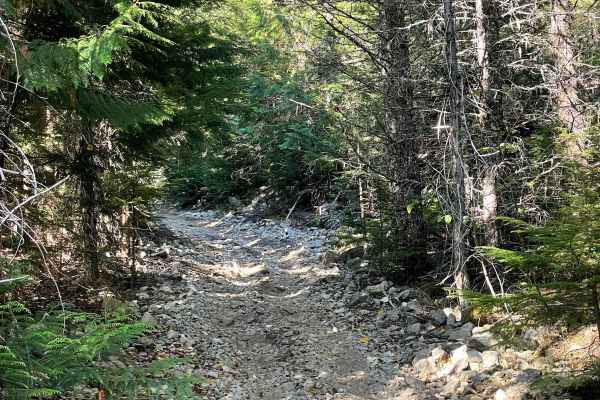 Doubletrack #2
