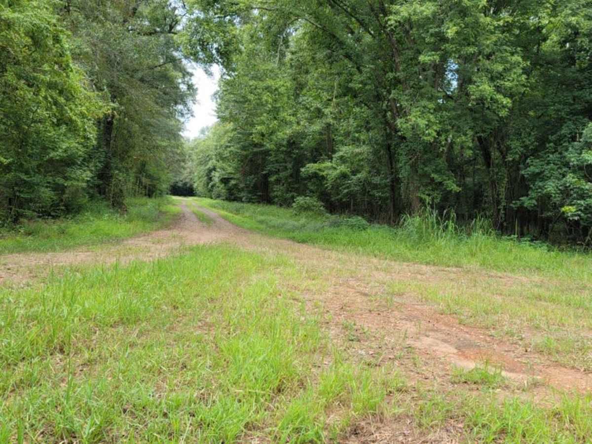 Pond Creek West Side Route photo 5