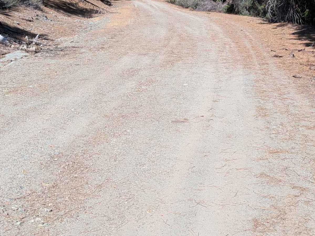Naufus Creek Road - FS 1N09 photo 2