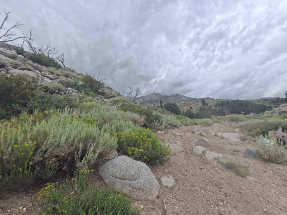 FS 30E303 trail photo