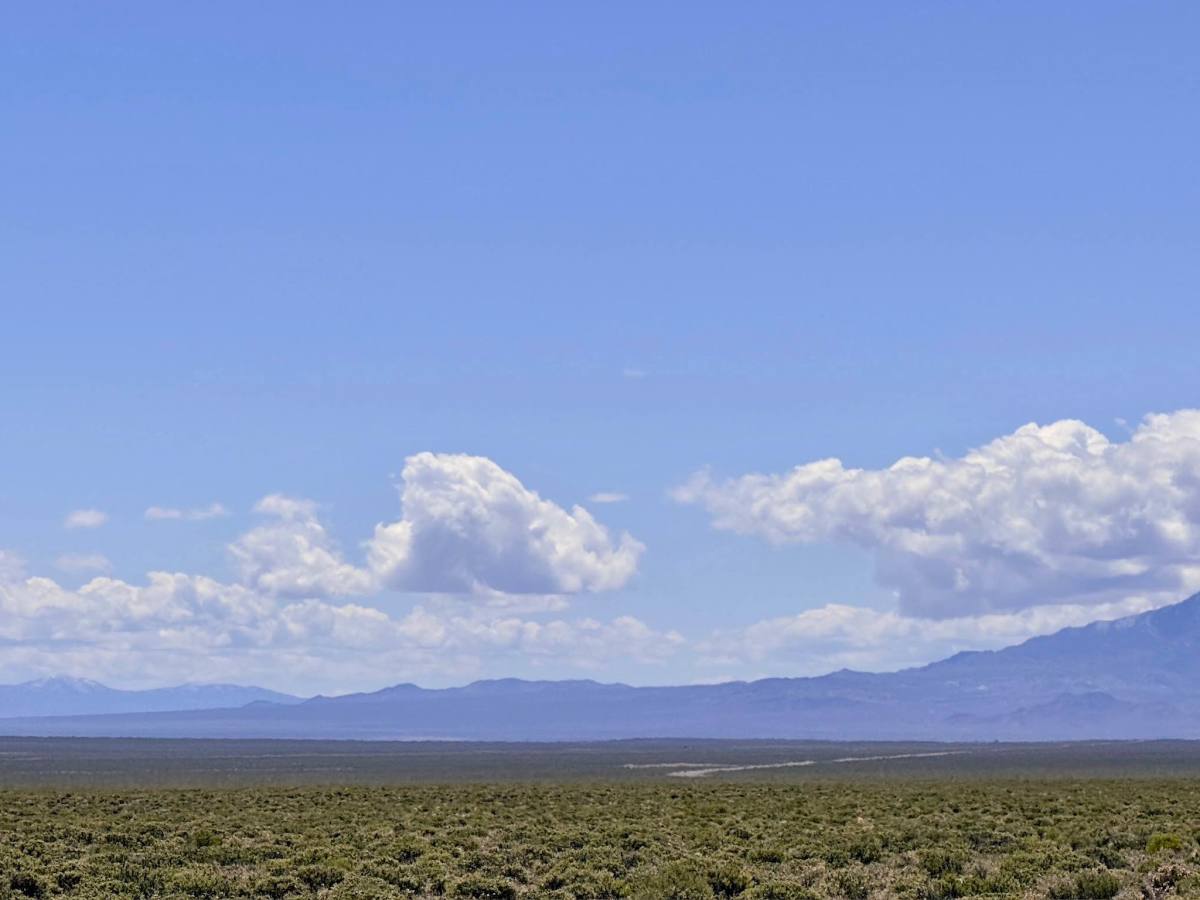  Cloverdale-Peavine Road photo 6