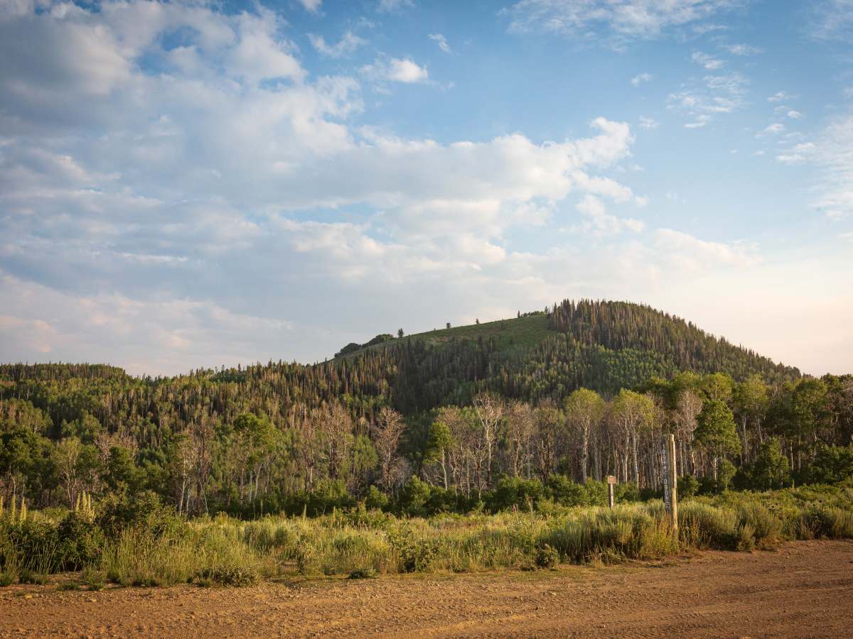 Big Springs - FS 70109 photo 4