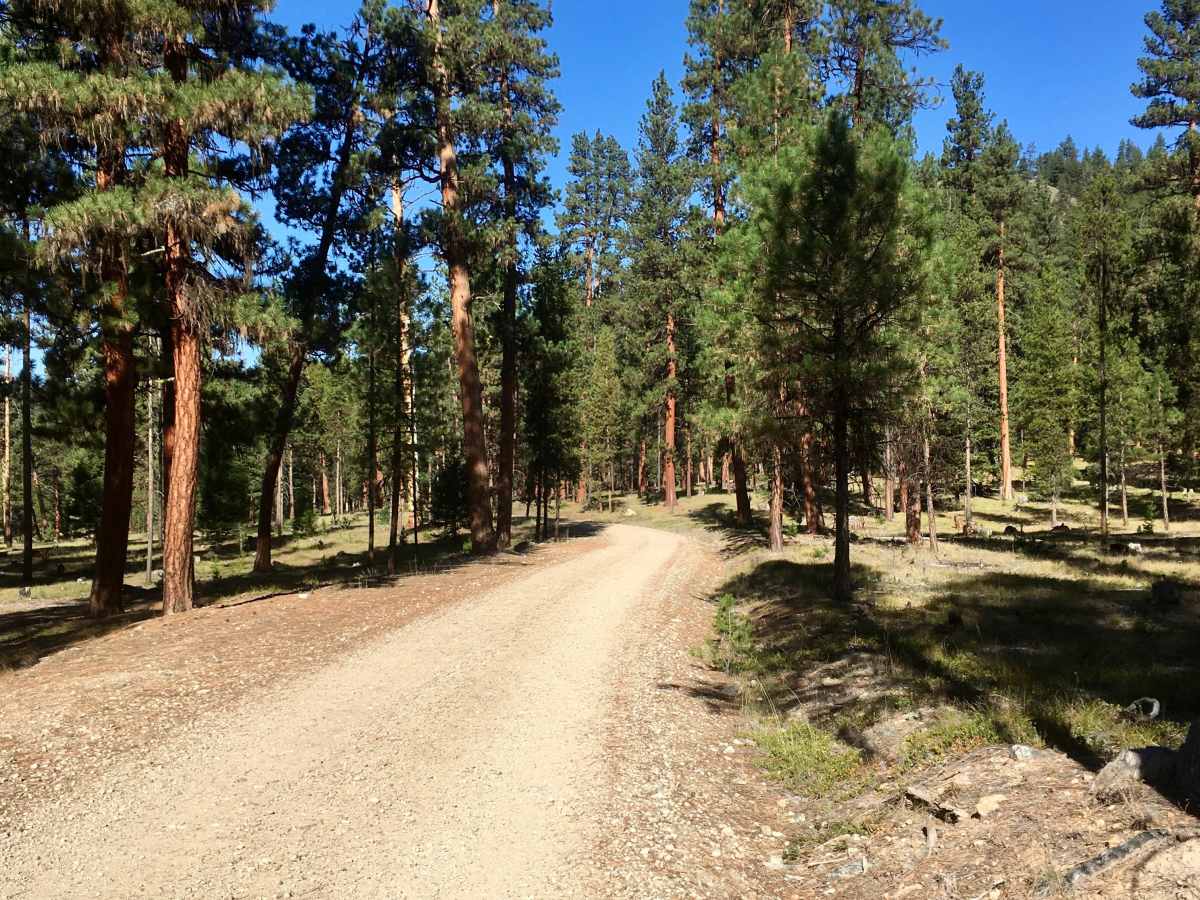 Overwhich Road - FS 5703 trail photo
