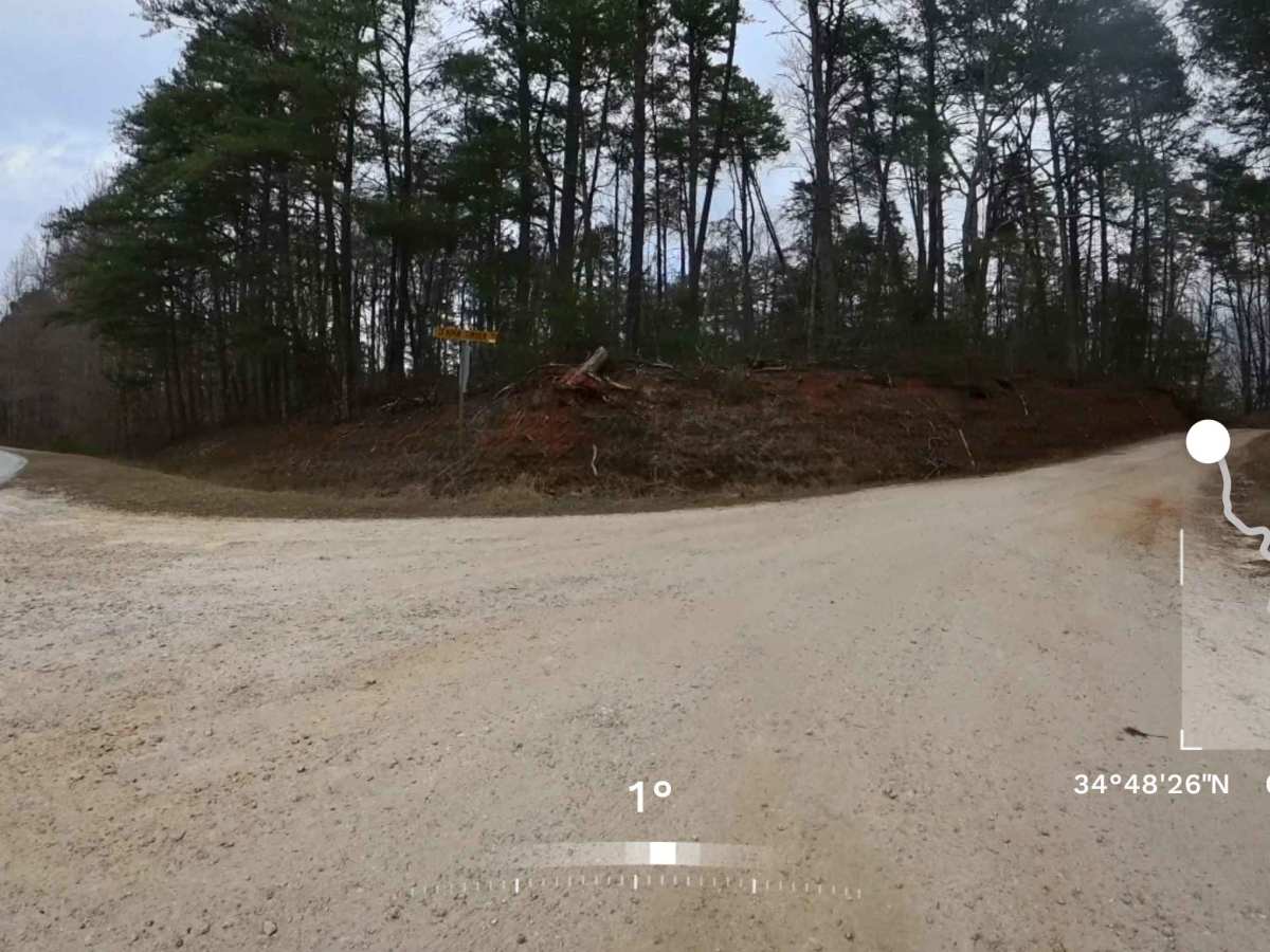 Deaden Timber Road - FS 825 photo 2