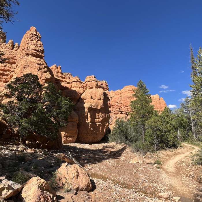 Near Losee Canyon Trail