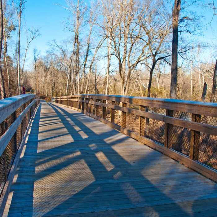Near Neuse River Trail