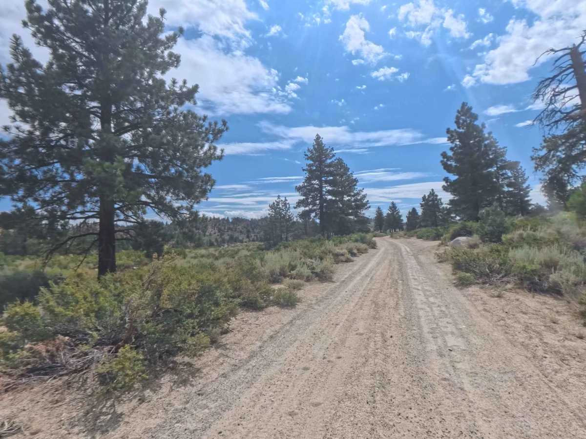 Crowley Lake Drive - FS 4S120 photo 3