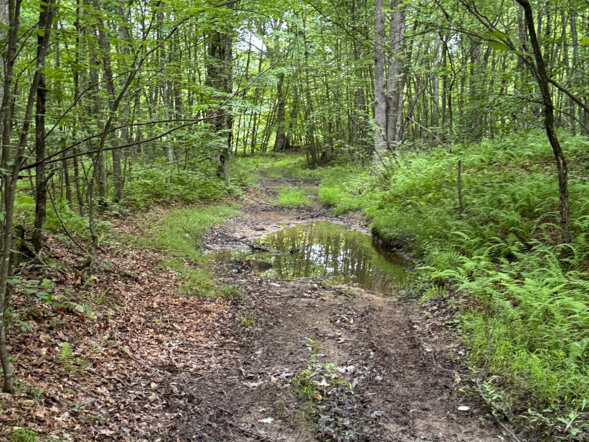 Trail 14 photo 4