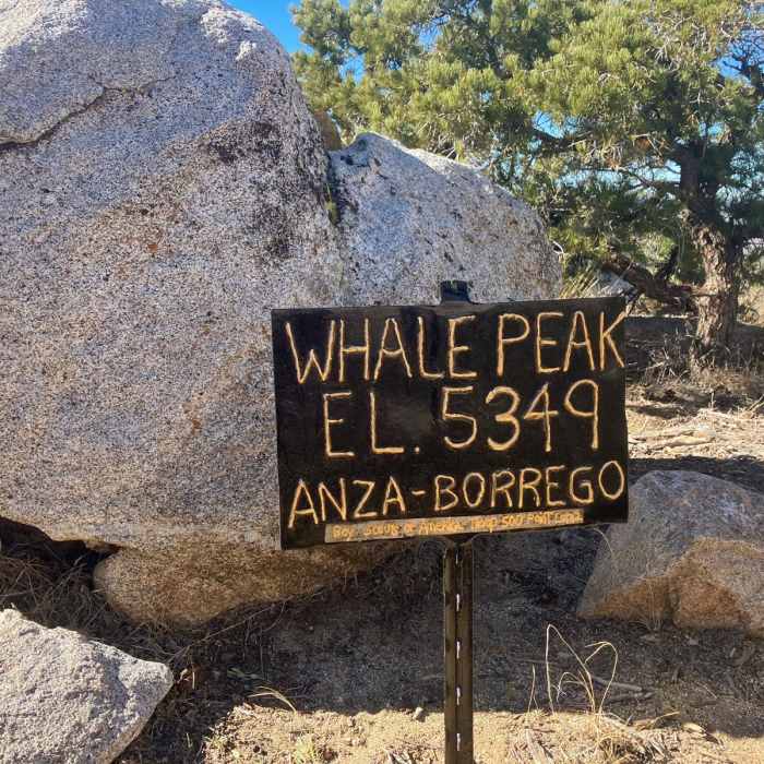 Near Pinyon Mountains Loop Near Pinyon Mountains Loop