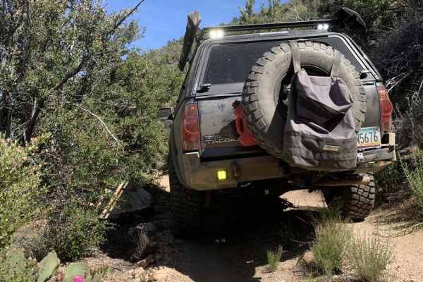 Brutal run to wickiup