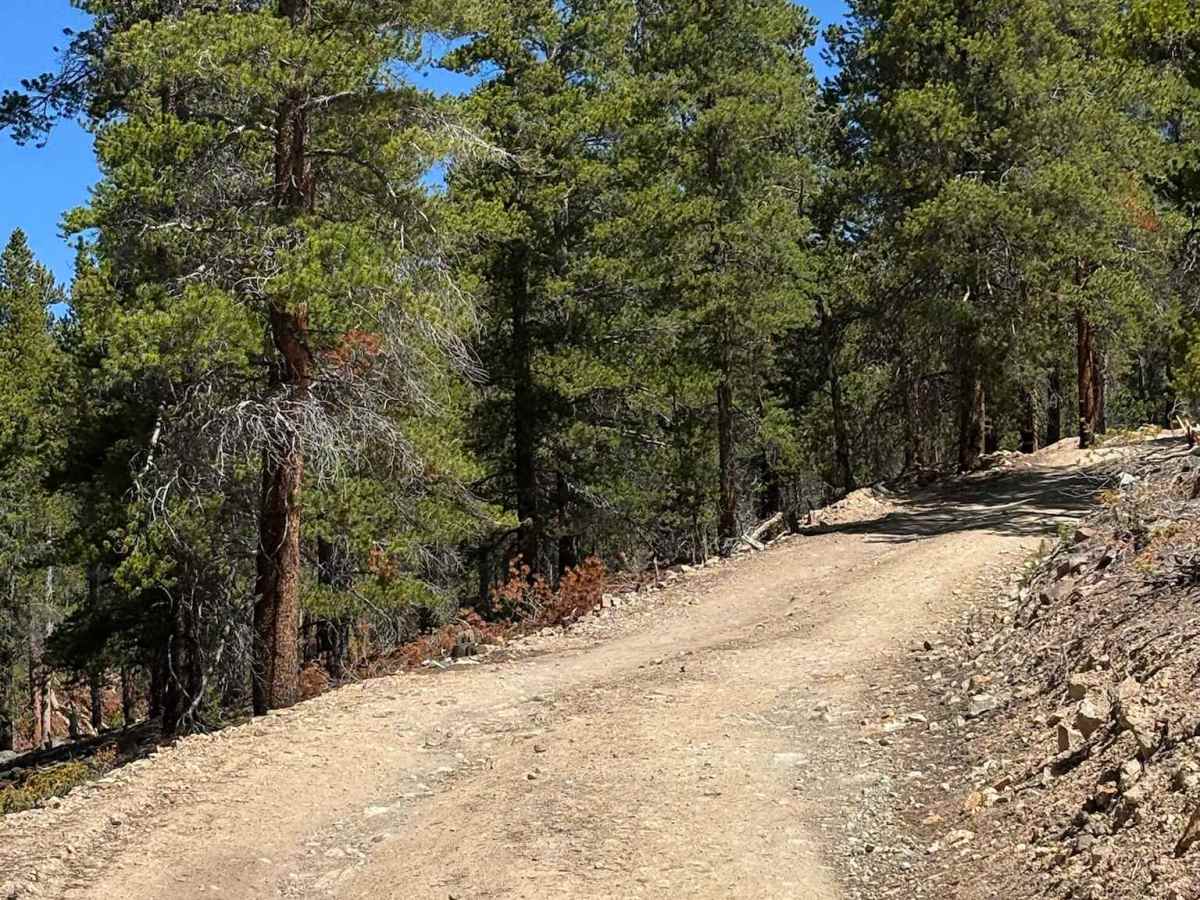 Bear Lake Road photo 5