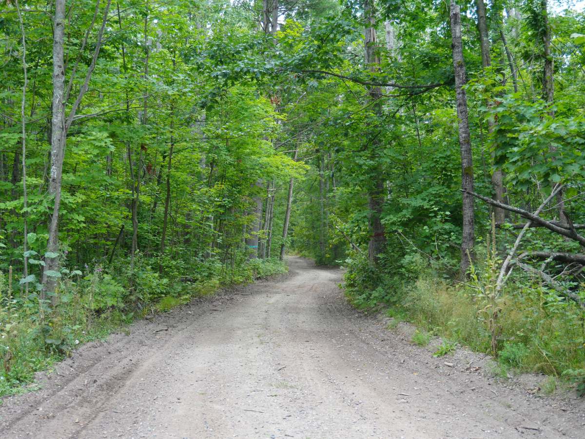 Sawdust Pile Trail photo 6