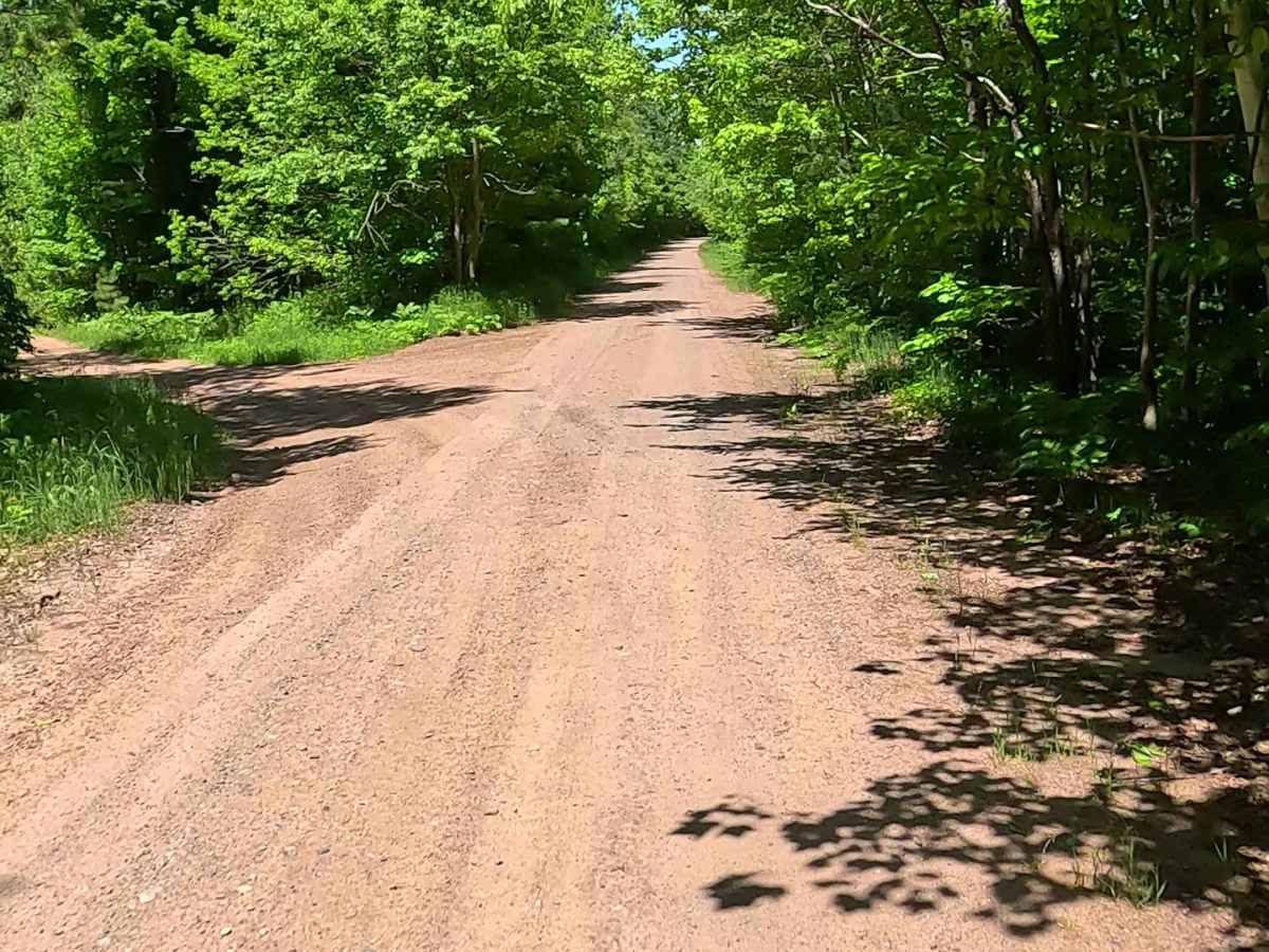 Pinery Road trail photo
