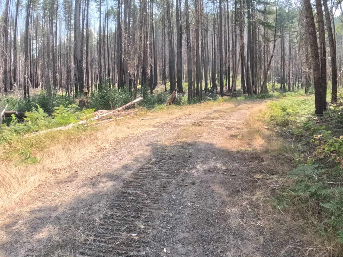 Mari-linn Road - FS 2242000 photo 5