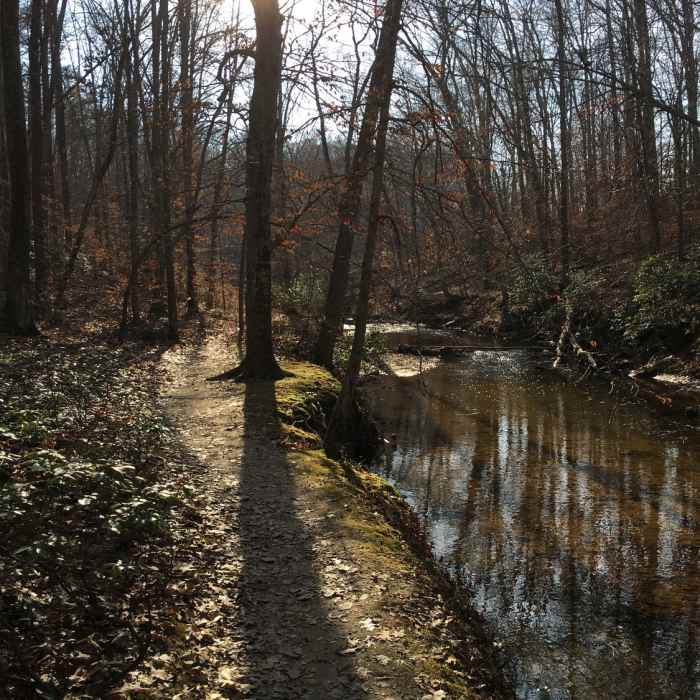 Near South Valley Trail