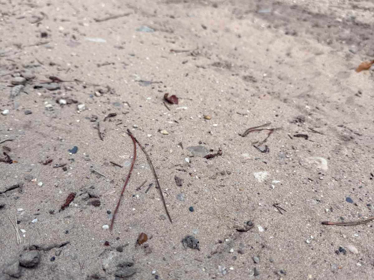 Deer Trail trail photo
