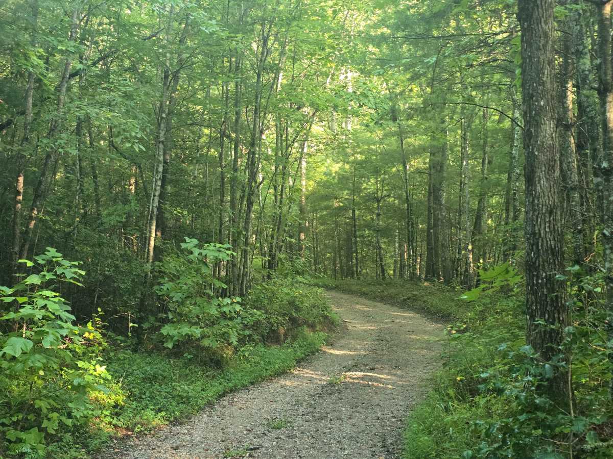 Gernt Road photo 4