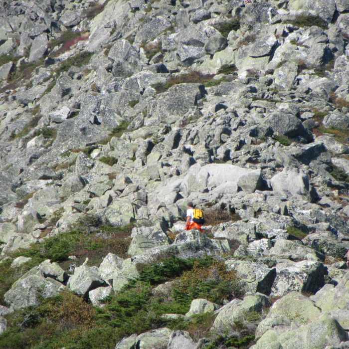 Near Helon Taylor Trail